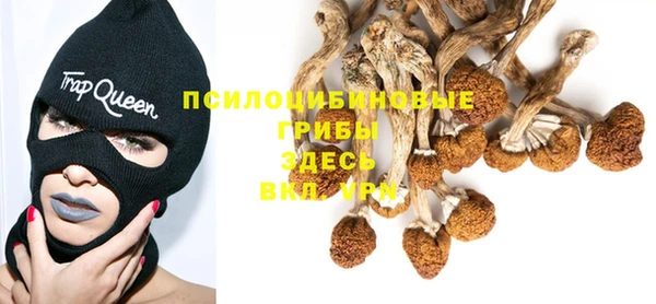 прущий лед Нягань