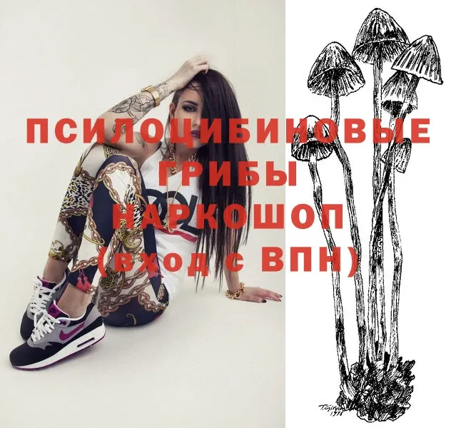 Галлюциногенные грибы Psilocybe  Приволжск 