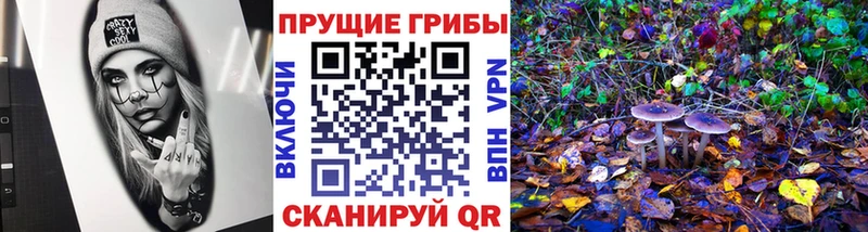 Галлюциногенные грибы MAGIC MUSHROOMS  мега ссылка  Приволжск 